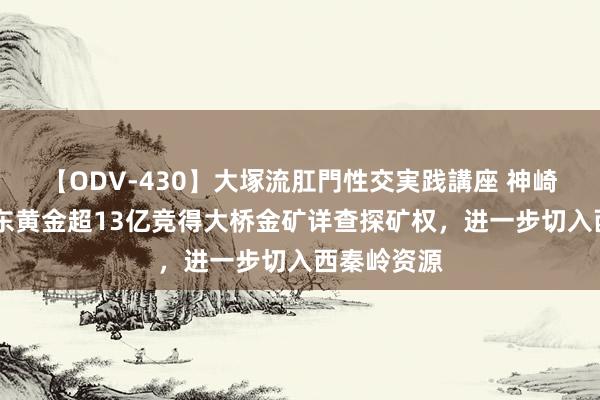 【ODV-430】大塚流肛門性交実践講座 神崎まゆみ 山东黄金超13亿竞得大桥金矿详查探矿权，进一步切入西秦岭资源