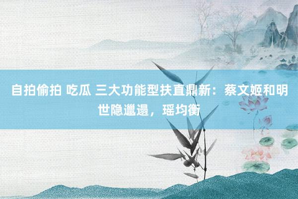 自拍偷拍 吃瓜 三大功能型扶直鼎新：蔡文姬和明世隐邋遢，瑶均衡